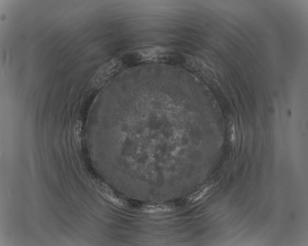 X0000077290275200611031558