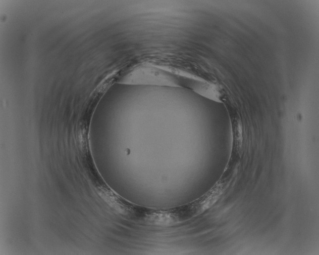 X0000077290276200611031558