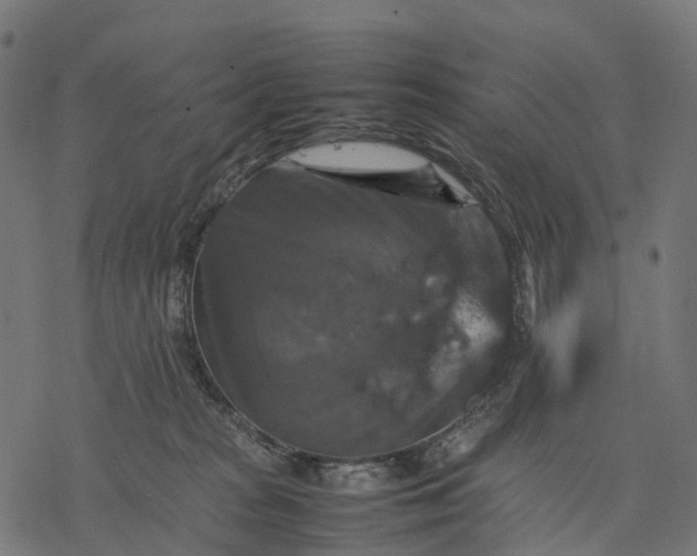 X0000077290277200611031558