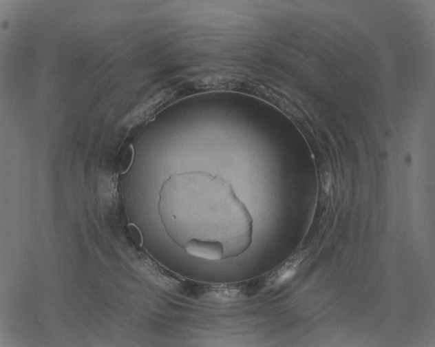 X0000077290278200611031558