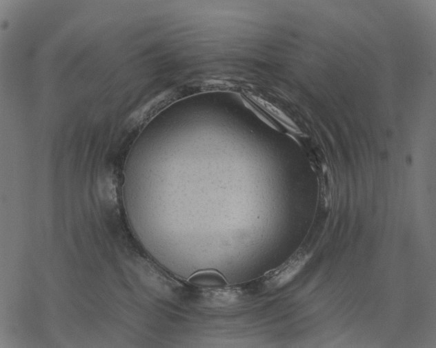 X0000077290282200611031558