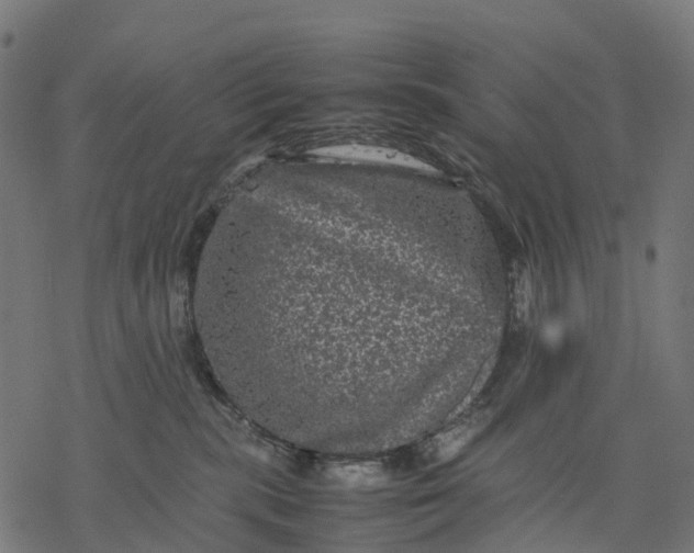 X0000077290283200611031558