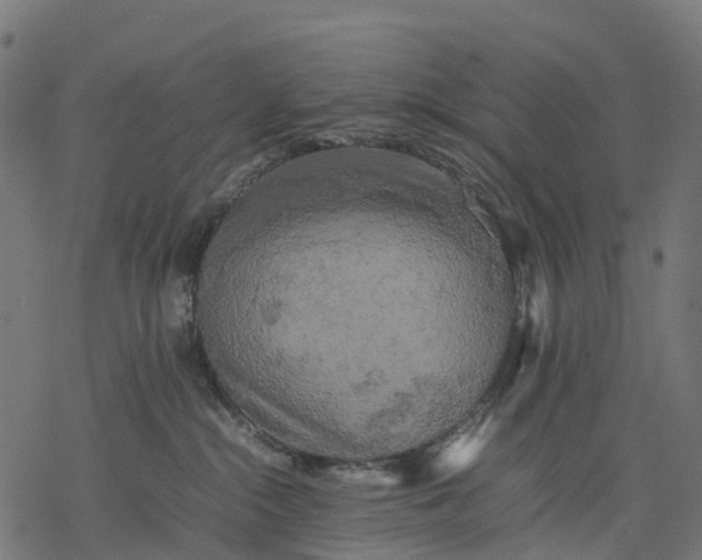 X0000077290284200611031558