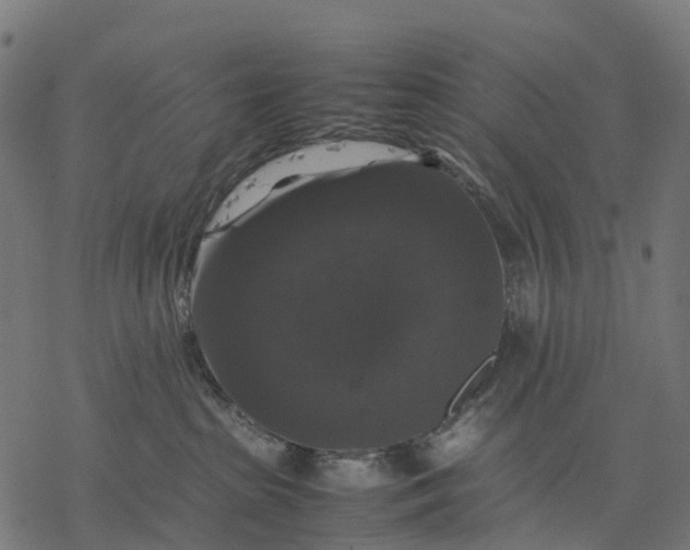 X0000077290285200611031558