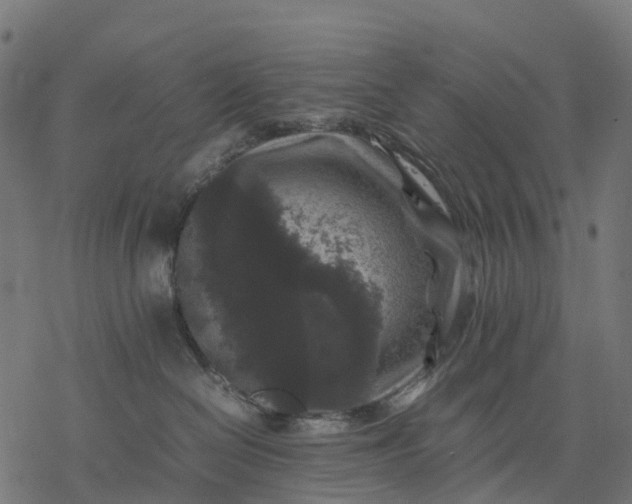 X0000077290286200611031558