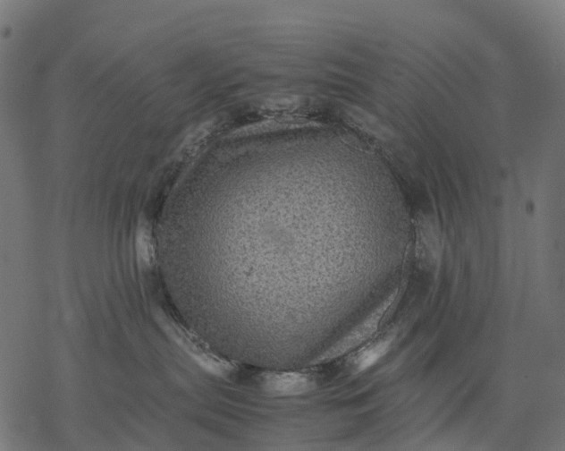 X0000077290287200611031558