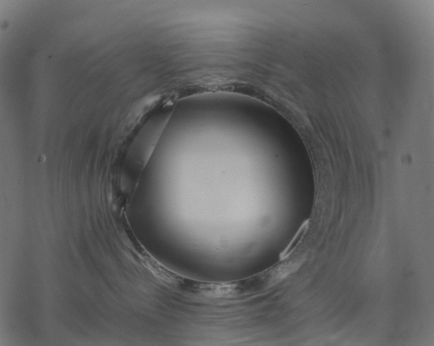 X0000077290288200611031558