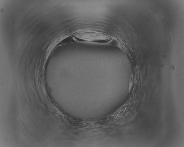 X0000077290289200611031557