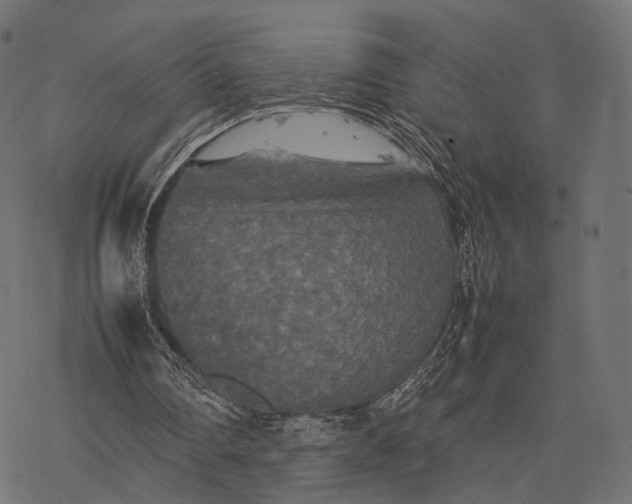 X0000077290290200611031557