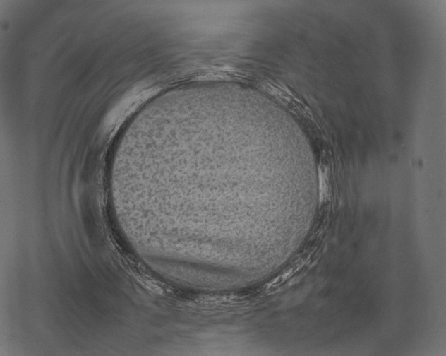 X0000077290291200611031557