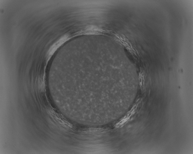 X0000077290292200611031557