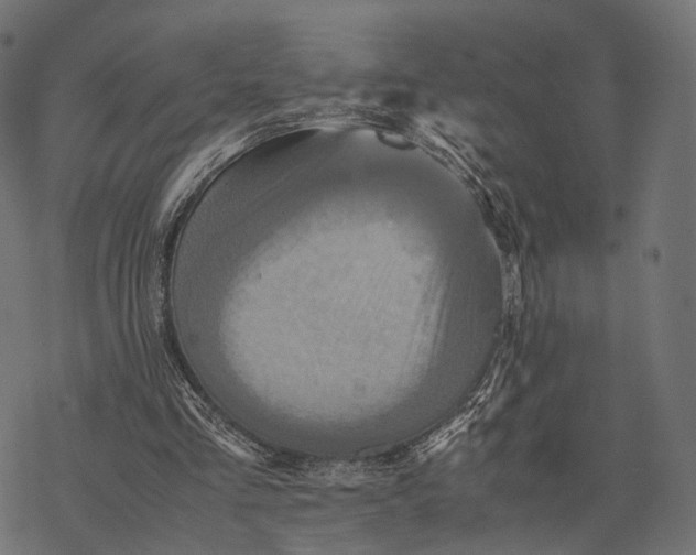 X0000077290293200611031557