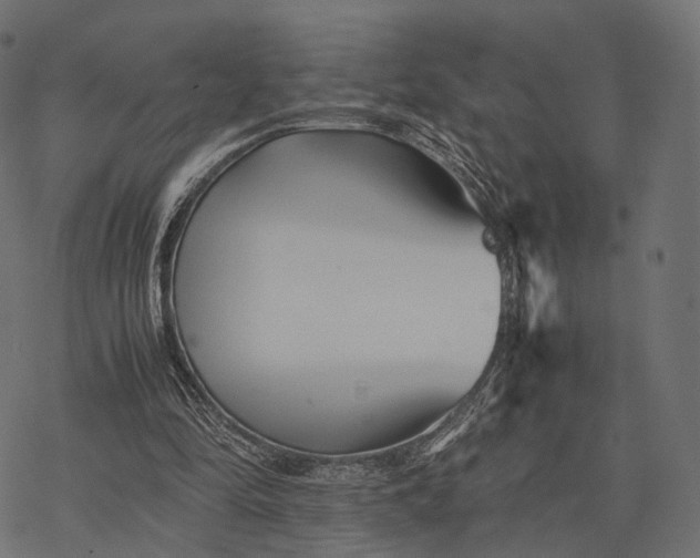 X0000077290294200611031557