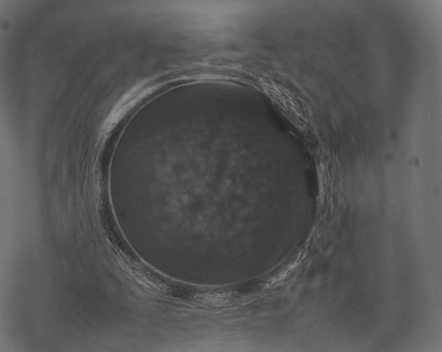 X0000077290295200611031557