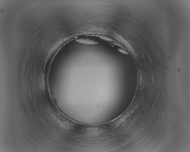 X0000077290298200611031557