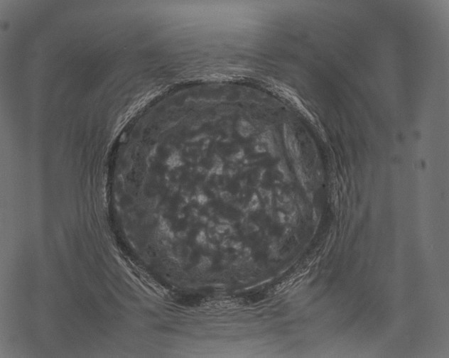 X0000077290299200611031557