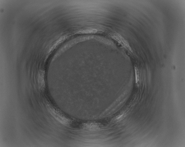 X0000077290300200611031557