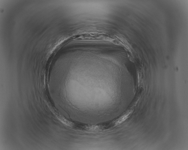 X0000077290301200611031557