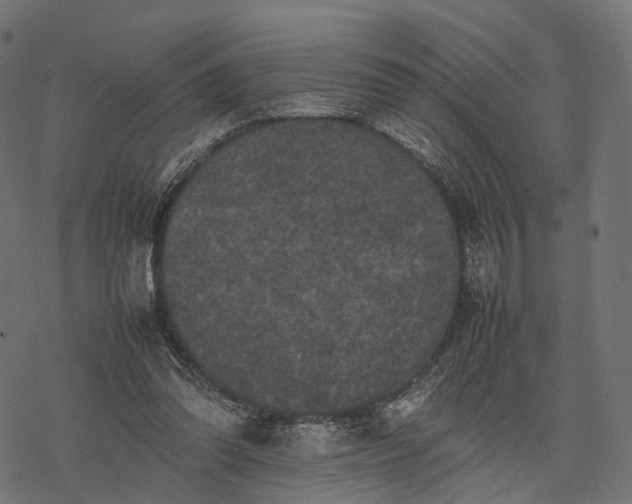 X0000077290302200611031557