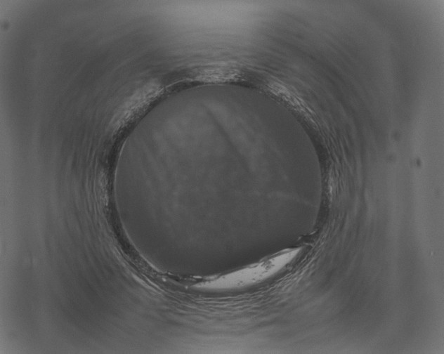 X0000077290303200611031557