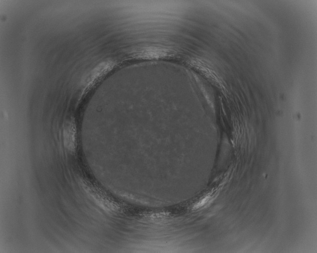 X0000077290304200611031557