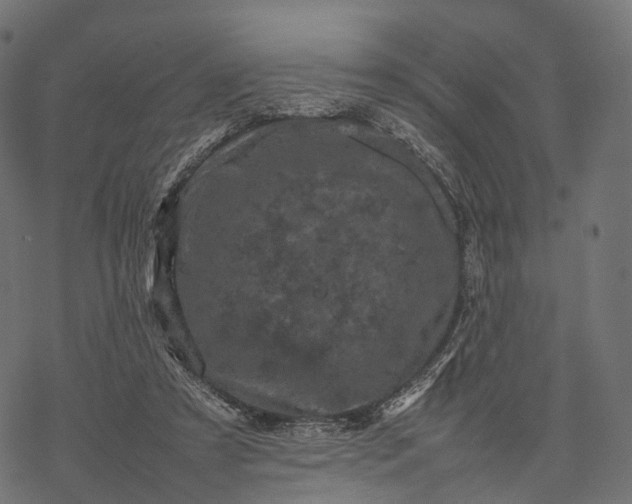 X0000077290305200611031557