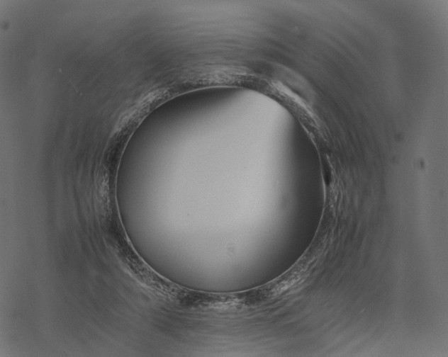 X0000077290306200611031557