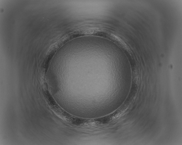 X0000077290307200611031557