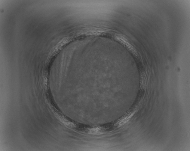 X0000077290309200611031557