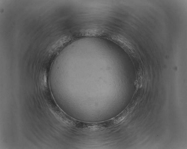 X0000077290310200611031557