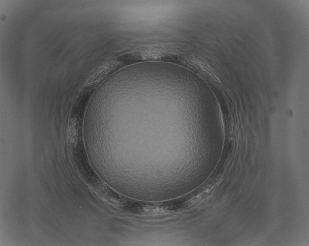 X0000077290311200611031557