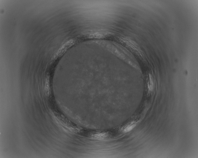 X0000077290312200611031557