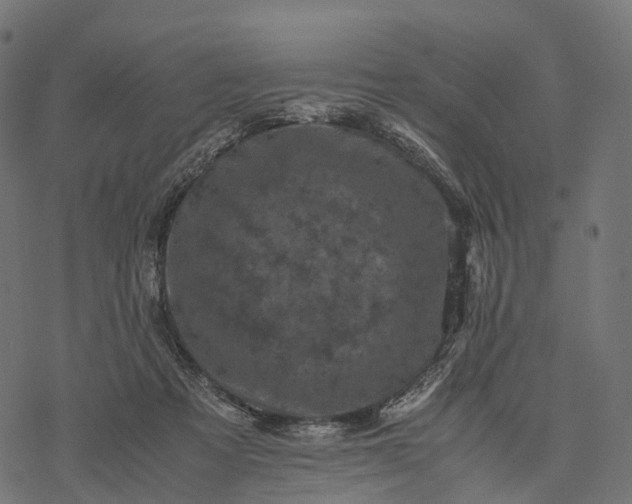 X0000077290313200611031557