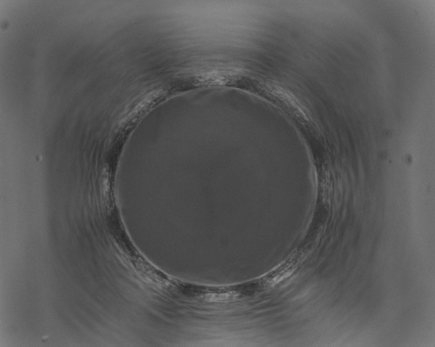 X0000077290314200611031557