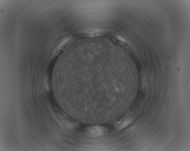 X0000077290316200611031557