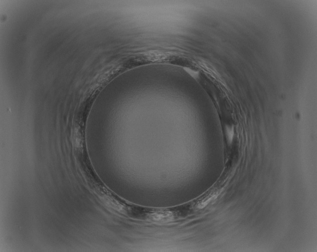 X0000077290317200611031557