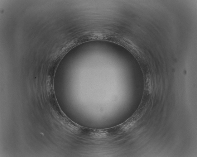 X0000077290318200611031557