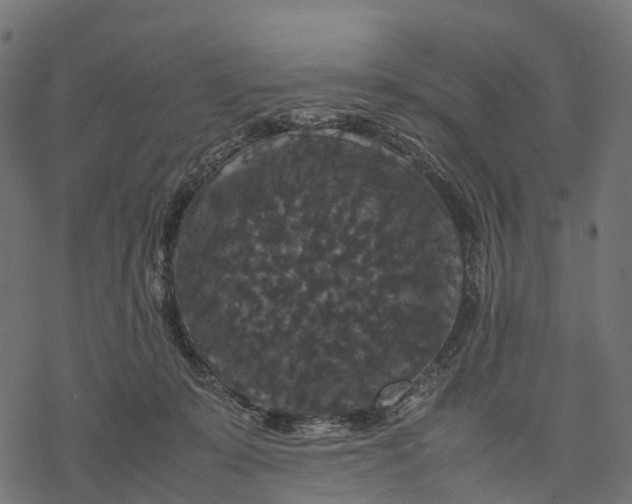 X0000077290319200611031557