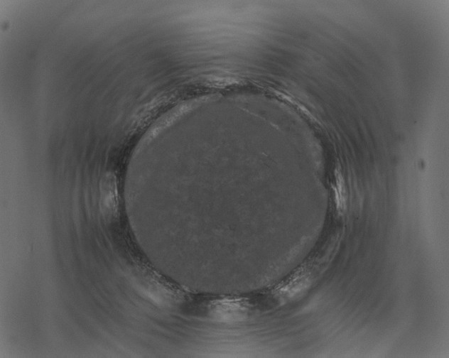 X0000077290320200611031557