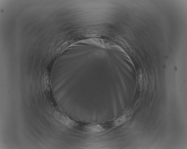 X0000077290322200611031557