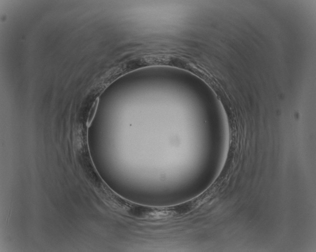 X0000077290323200611031557