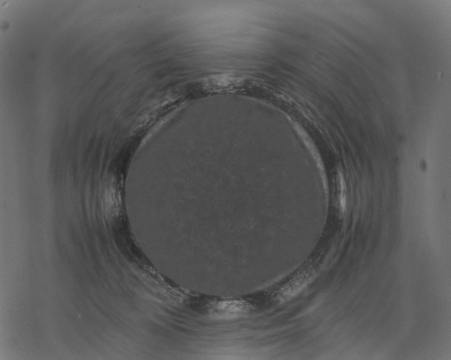 X0000077290324200611031557