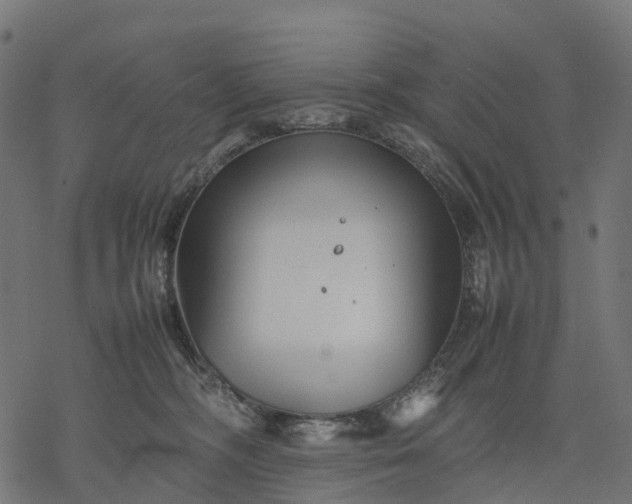 X0000077290326200611031556