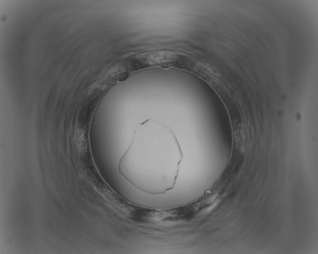 X0000077290327200611031556