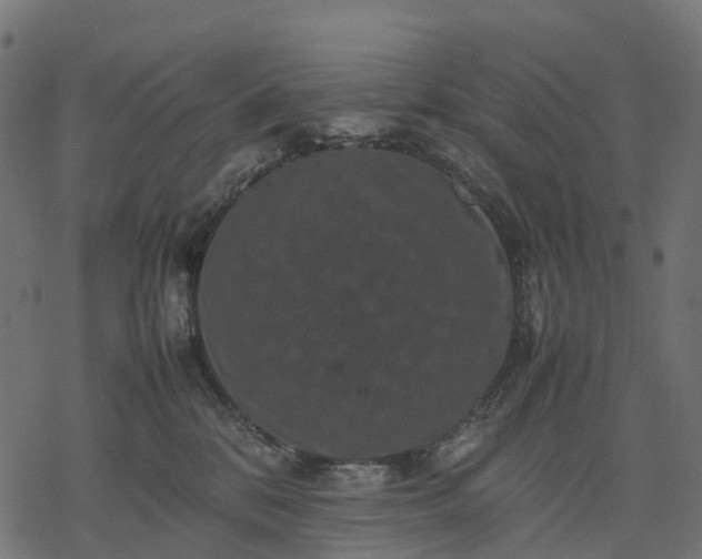 X0000077290328200611031556