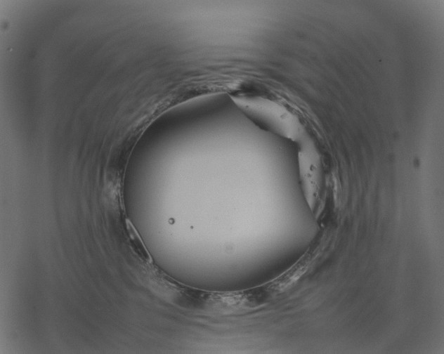 X0000077290329200611031556