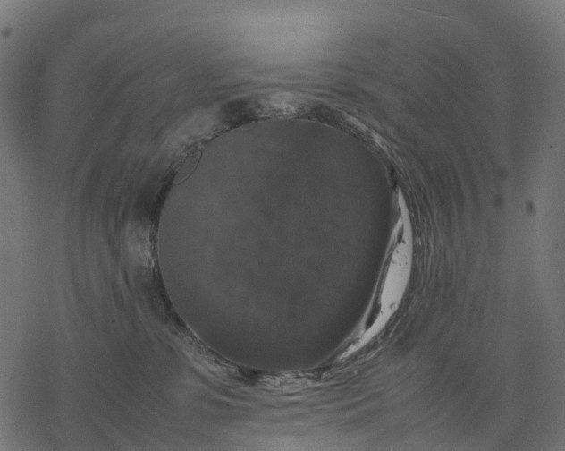 X0000077290331200611031556