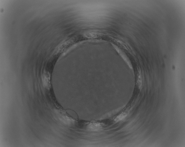 X0000077290332200611031556