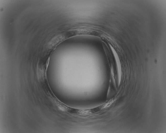 X0000077290333200611031556