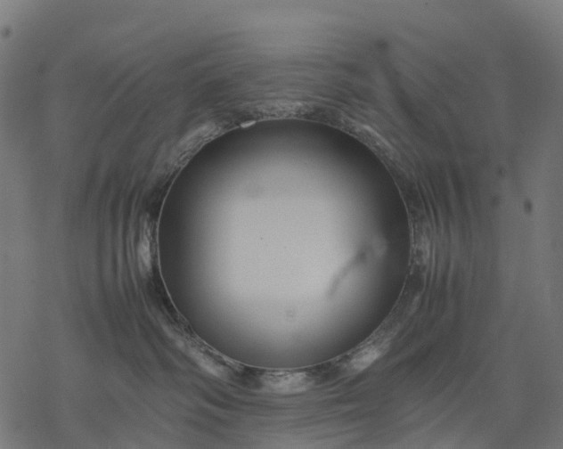 X0000077290334200611031556